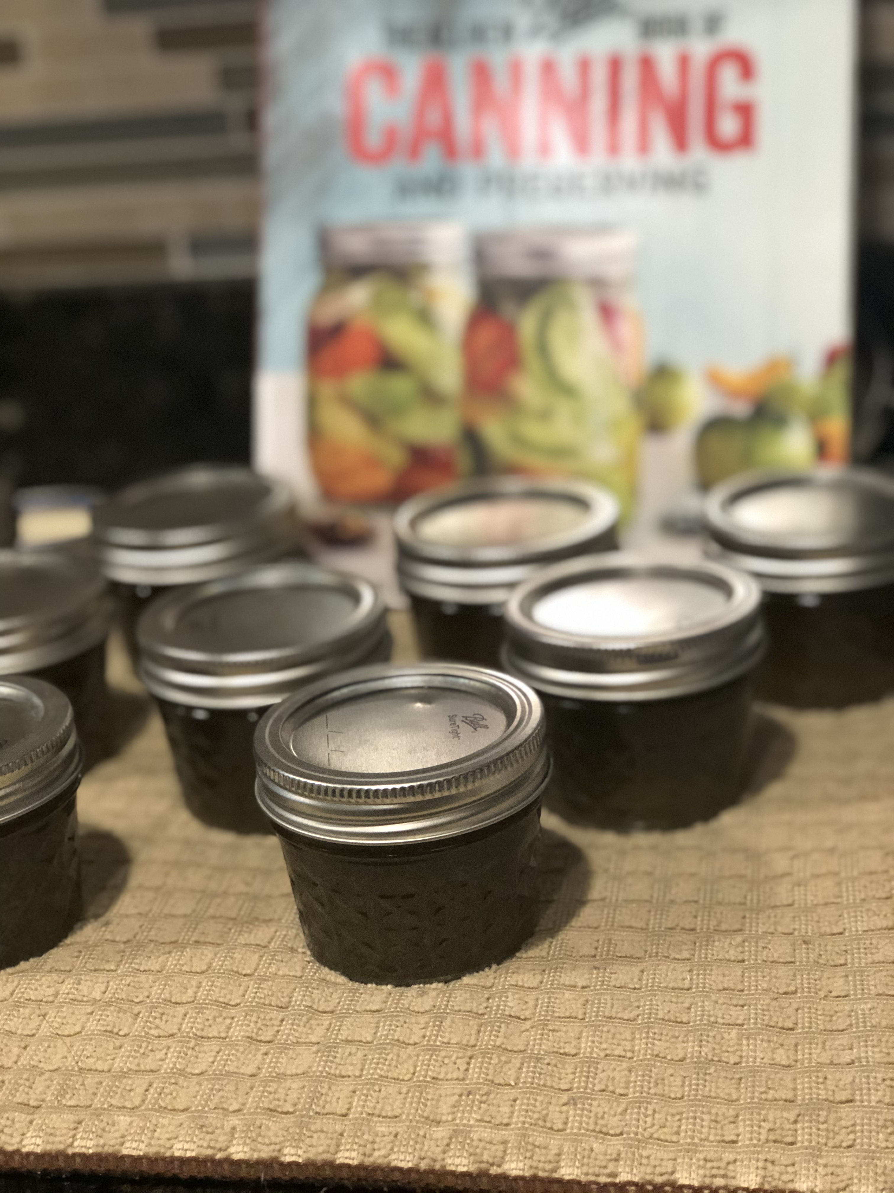 Canning and Preserving Food