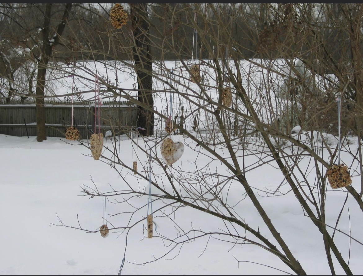 Bird Seed Ornaments