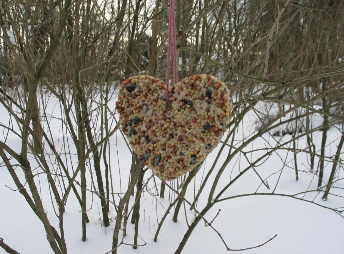 Bird Seed Heart Ornament