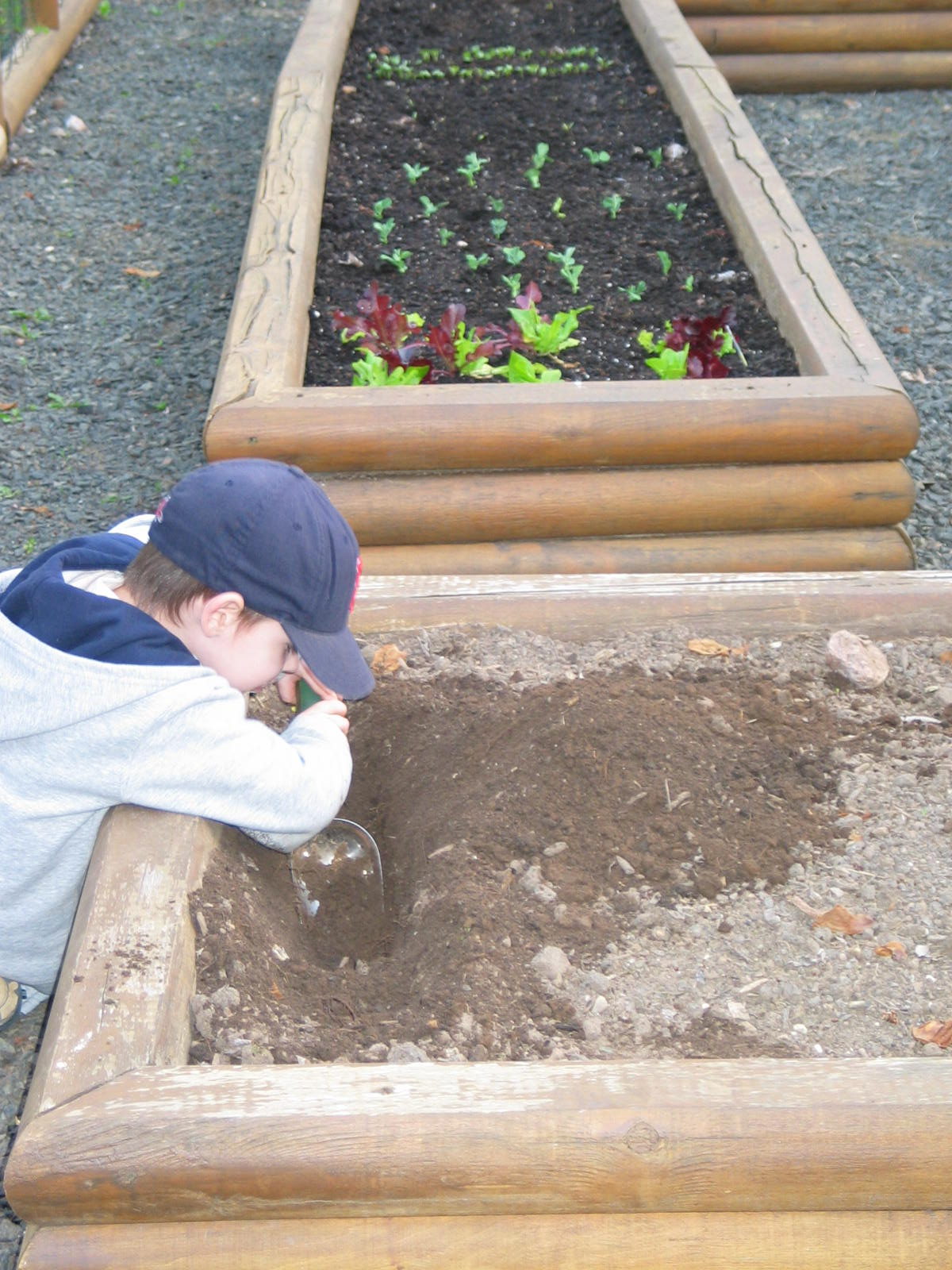 Digging in the vegetable garden