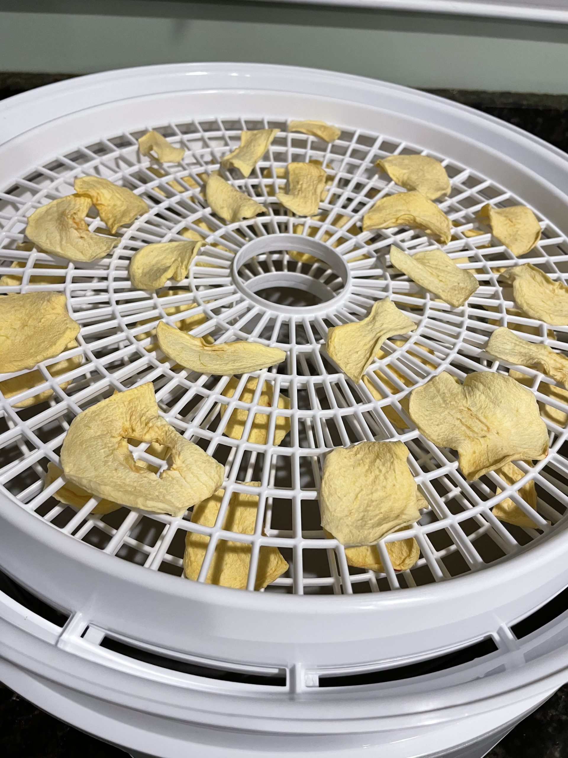 Dehydrating Apples in Presto