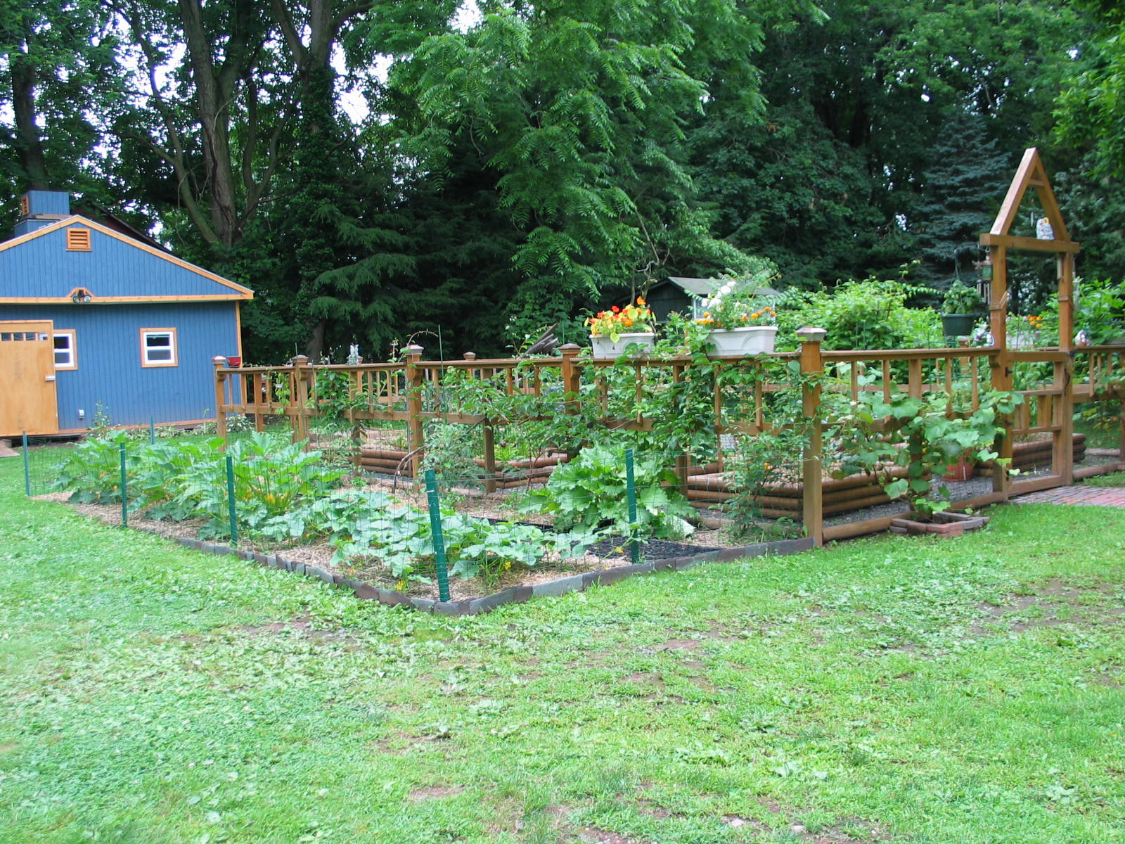 Growing Vegetable Garden