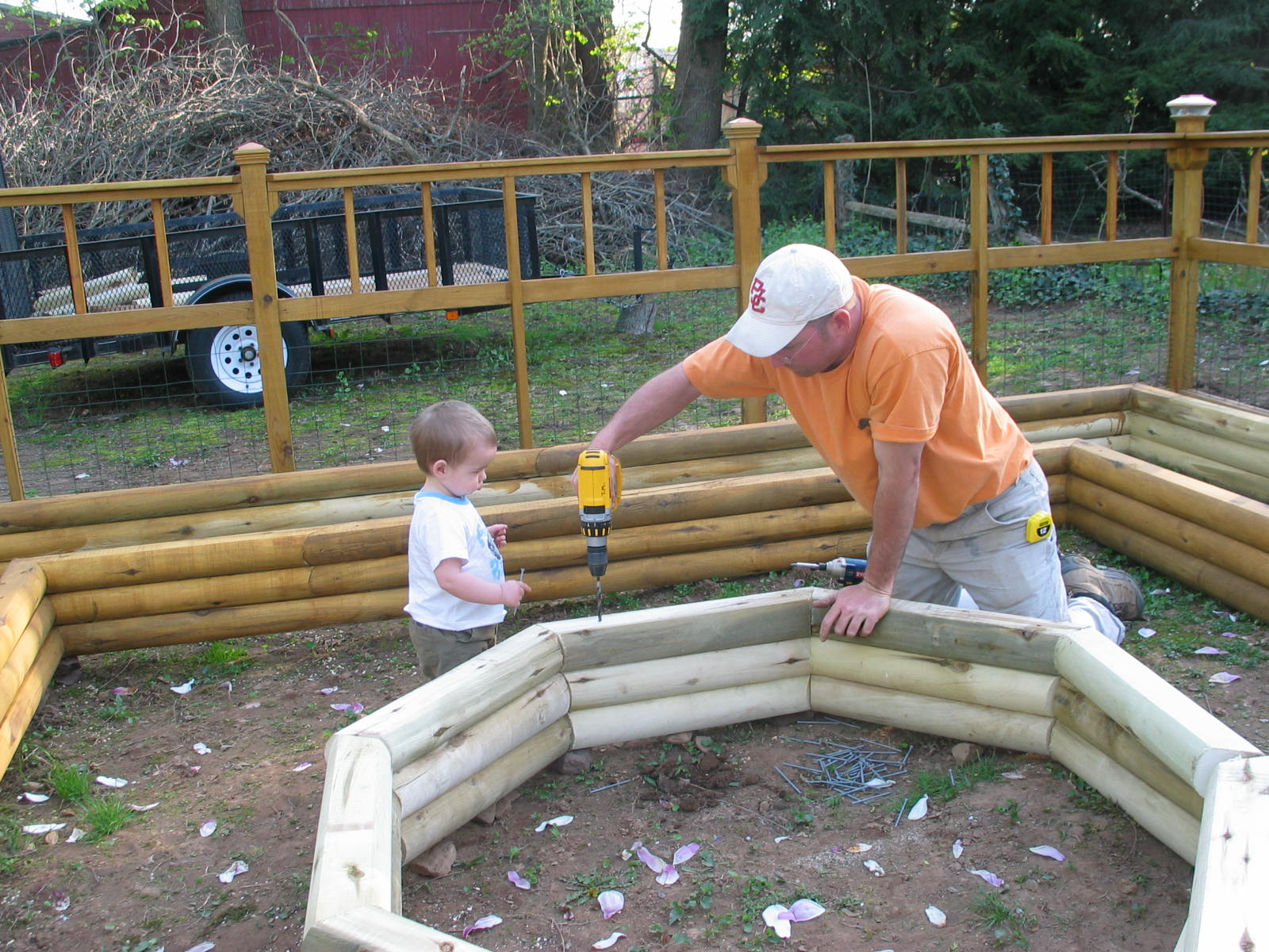 Starting a Vegetable Garden