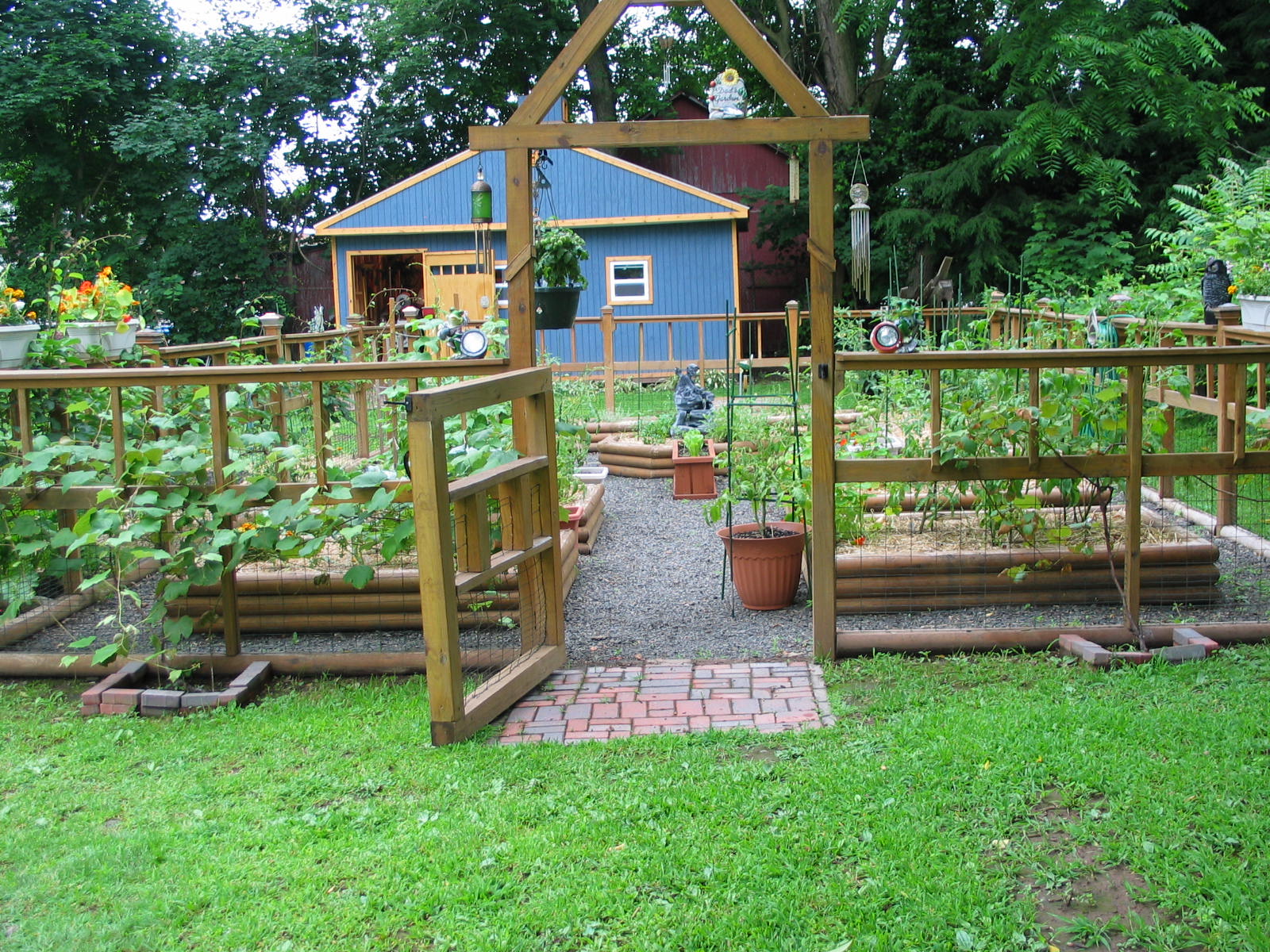 Growing Vegetable Garden