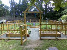 Our 1st vegetable garden