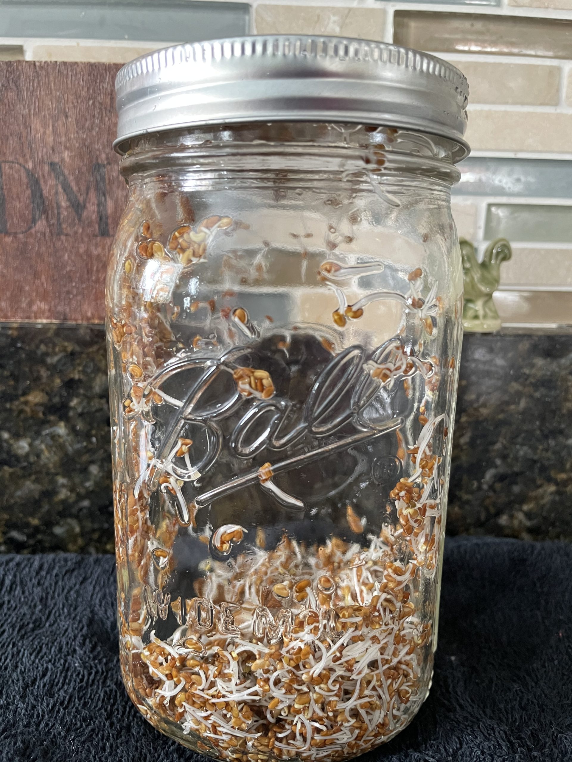 Sprouting in a jar