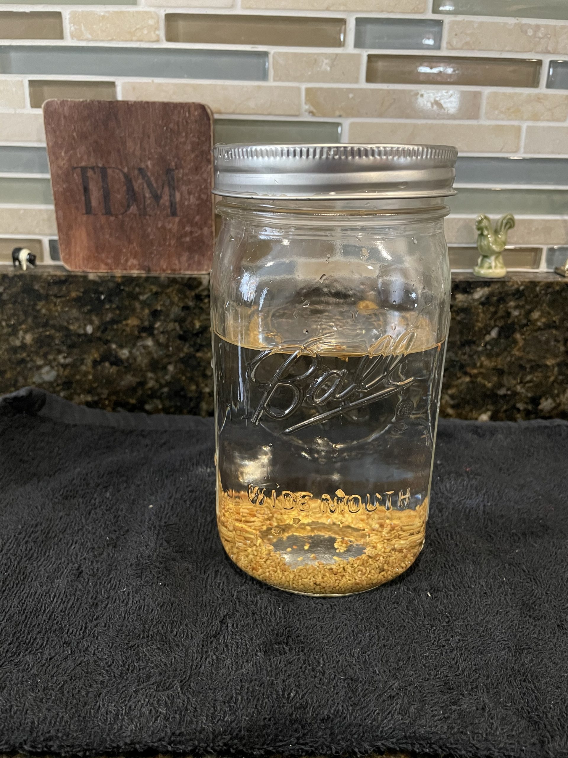 Soaking Sprouting Seeds