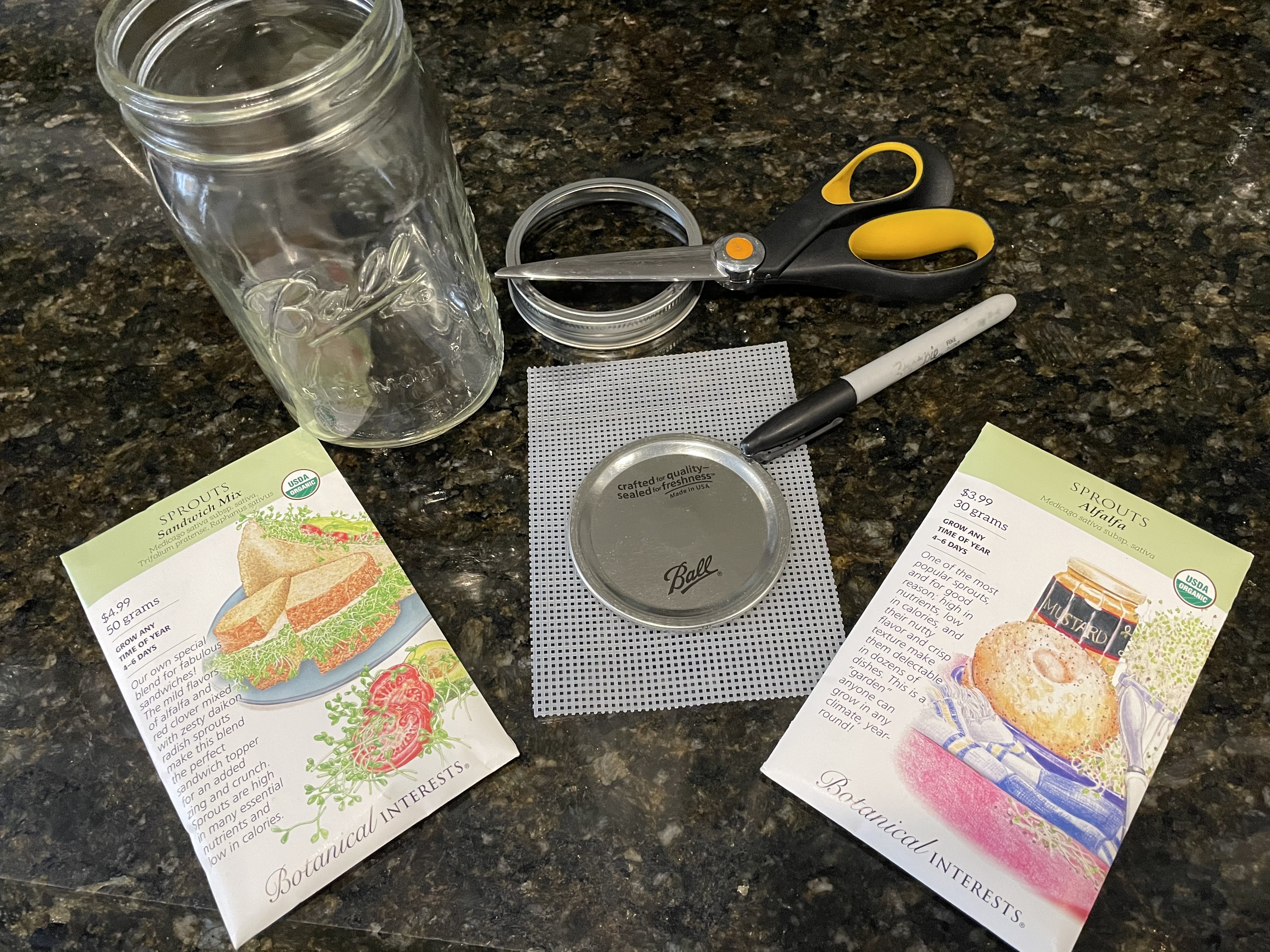 Growing Sprouts In A Jar