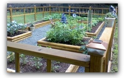 Backyard Vegetable Garden Layout