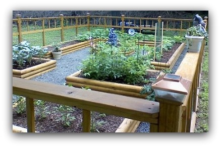 Backyard Vegetable Garden Layout With Raised Beds