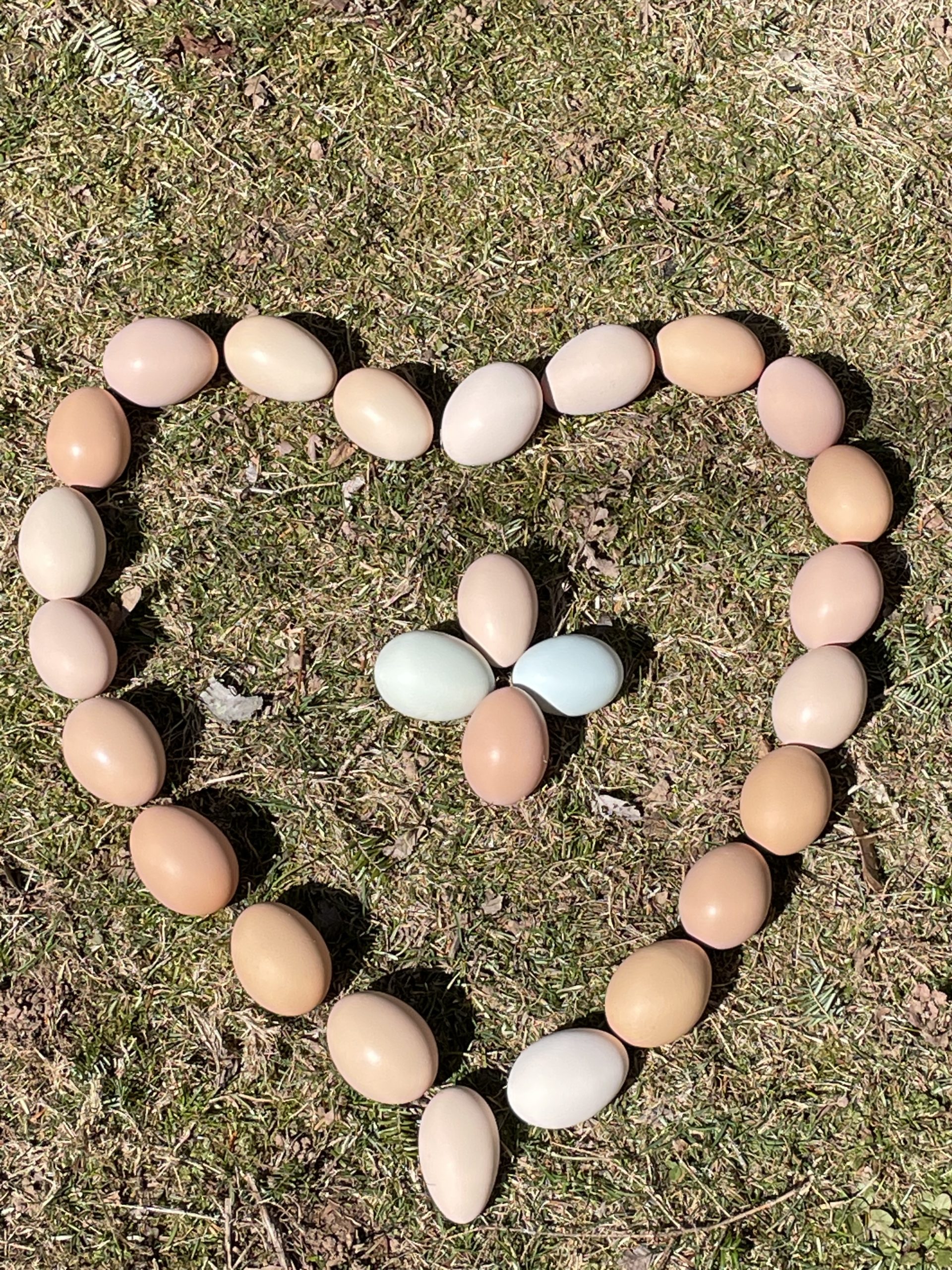 Heart of Eggs