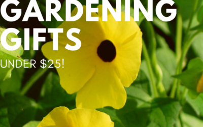 25 Mother’s Day Gardening Gifts Under 25 Dollars