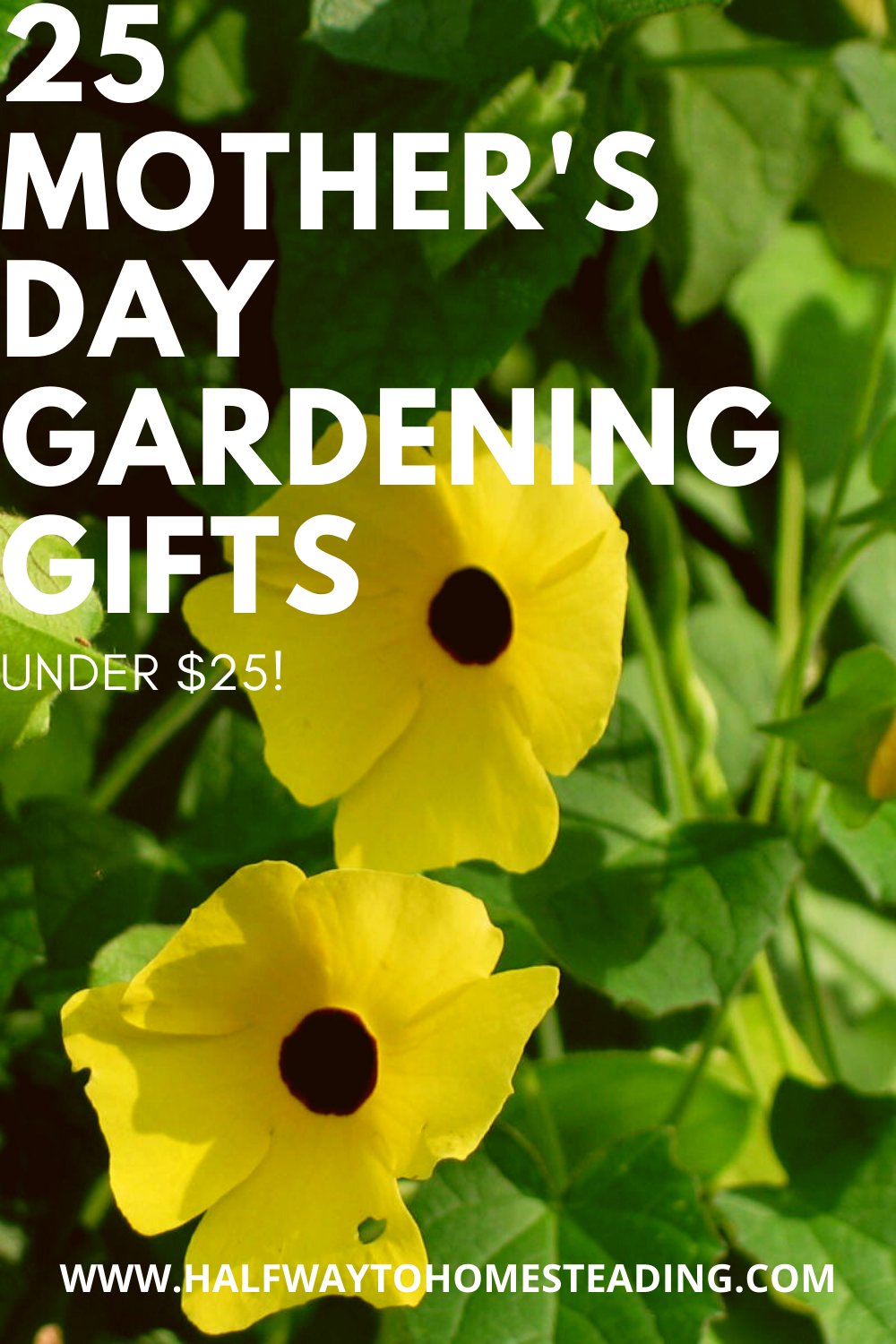 25 Mother's Day Gardening Gifts Under $25