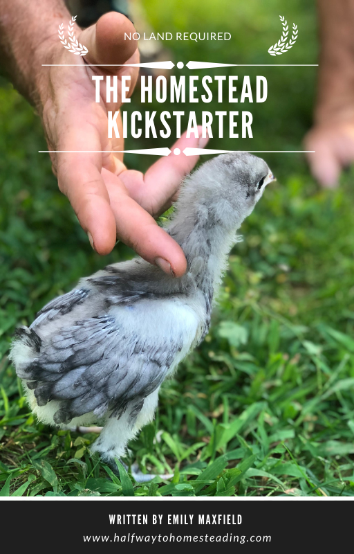 The Homestead Kickstarter Free Homesteading eBook